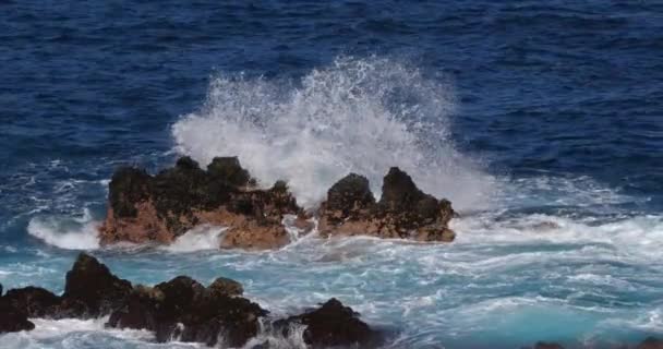 Vagues Fortes Dans Mer Orageuse — Video