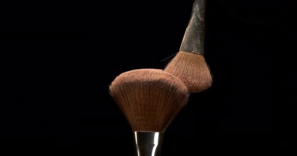 Blush Powder Dust Make Brush — Stock Video