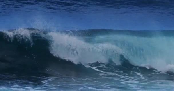 Fırtınalı Denizde Güçlü Dalgalar — Stok video