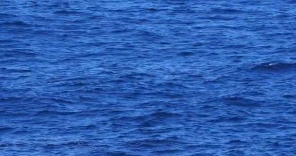 Surface Mer Gros Plan — Video