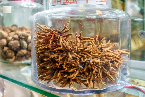 Cordyceps is considered to be medicinal mushroom in classical Asian pharmacologies, such as that of traditional Chinese and Tibetan medicines. Dried cordyceps in store in glass jar at shopwindow.