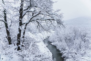 Güzel karlı dağ orman ve Afips Nehri. Clear doğal kış manzarası. Batı Kafkasya.