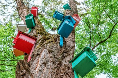 Ağaç gövdesi yaz Park renkli boyalı ahşap yavru kutulara. Açık yaratıcı sanat ve kuşlar için bakım.