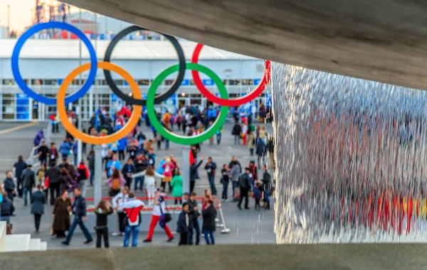 Sochi Russia Febbraio 2014 Parco Olimpico Stato Sede Principale Dei — Foto Stock