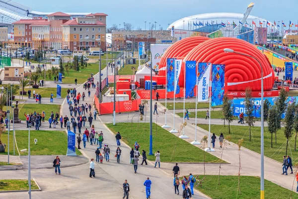 Sochi Ryssland Februari 2014 Folksamlingar Promenad Runda Olympic Park Vinter — Stockfoto