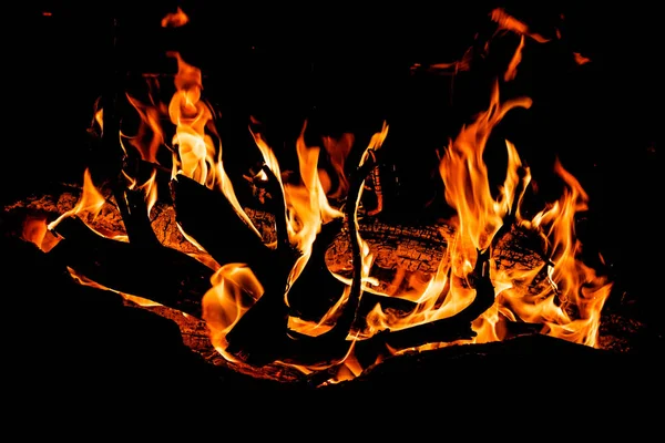 Isolated campfire with flame tongues burning at night on black background