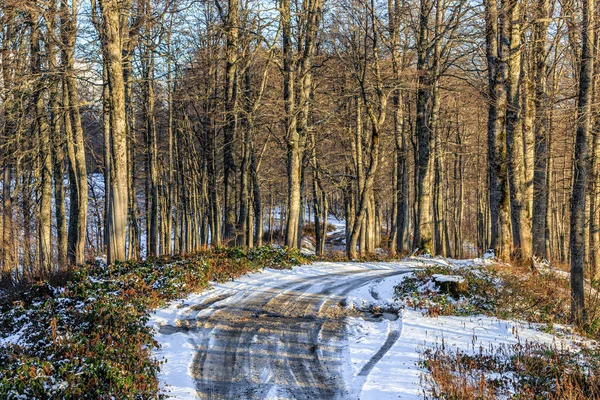 Красивый осенний снег покрыл Кавказский горный лес голыми буками на закате с исчезающей сельской лесной полосой. Живописный солнечно-голубой пейзаж — стоковое фото
