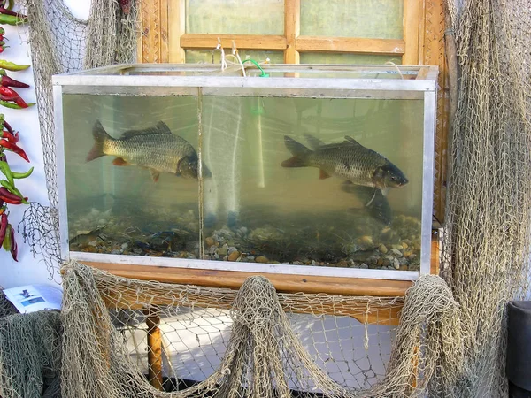 Rybí akvárium a rybářské sítě používané jako venkovské dekorace napodobující autentický ruský venkovský život. Rustikální scéna — Stock fotografie