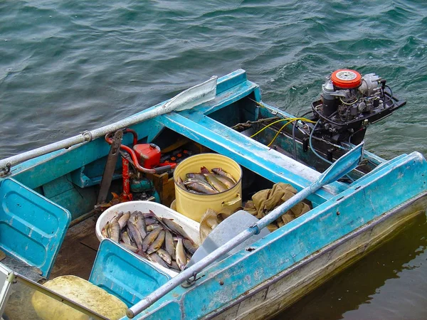 Pequeño bote a motor flotando en el agua del río con embarcaciones llenas de pescado fresco. Los pescadores trajeron una buena captura de su actividad de ocio al aire libre favorita — Foto de Stock