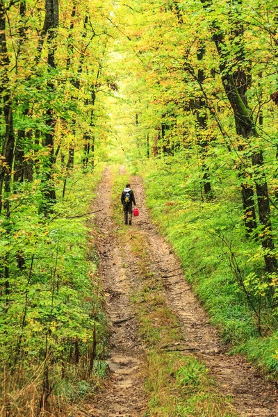 El hombre recolector de hongos camina a lo largo del camino rústico de montaña en el bosque de roble de otoño. Paisaje otoñal escénico, Cáucaso Occidental — Foto de Stock