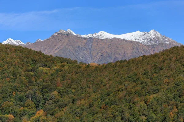 Bela paisagem de outono colorida cênica da cordilheira principal do Cáucaso com cumes de montanha nevados no fundo do céu azul. Krasnaya Polyana, Sochi, Rússia . — Fotografia de Stock