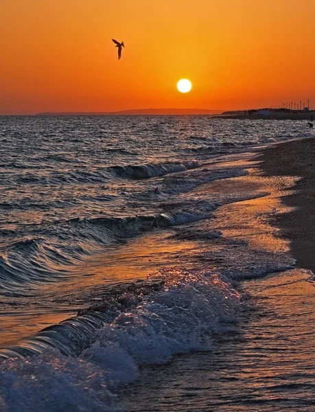 Hermosa puesta de sol en el Mar Negro enBugaz escupir por Anapa, Rusia con olas rompiendo en la playa de arena del Mar Negro y gaviota voladora. Paisaje vertical escénico . — Foto de Stock