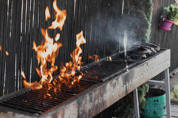 Long rectangular barbecue with fire on the street, eggplants are fried on day outdoor. Summer barbecue cooking over a hot fire. Barbecue with raw vegetables. BBQ on the terrace