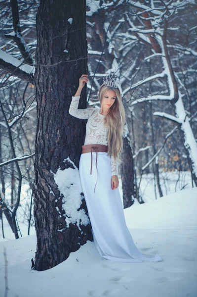 Γυναίκα Ομορφιά Του Χειμώνα Όμορφη Μόδας Μοντέλο Κορίτσι Χιόνι Χτένισμα — Φωτογραφία Αρχείου