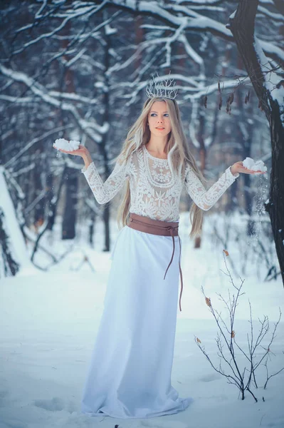 Donna Bellezza Invernale Bella Ragazza Modello Moda Con Acconciatura Neve — Foto Stock