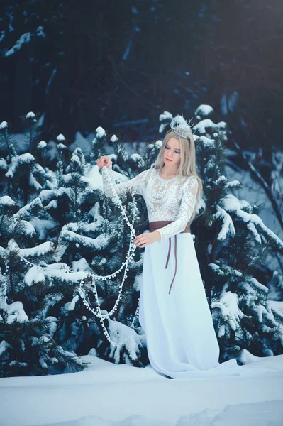 Mujer Bella Invierno Hermosa Chica Modelo Moda Con Peinado Nieve — Foto de Stock