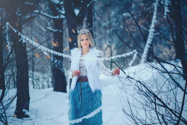 Mujer Bella Invierno Hermosa Chica Modelo Moda Con Peinado Nieve —  Fotos de Stock