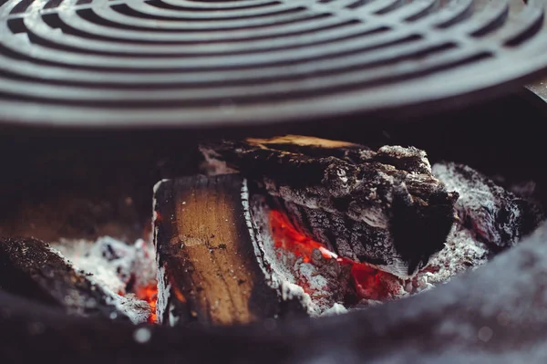 Burning firewood in a large grill, a homemade picnic in the fresh air — Stock Photo, Image