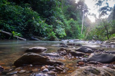Bukit Lawang ormanında yağmur ormanlarında nehir, Kuzey Sumatra, Endonezya.