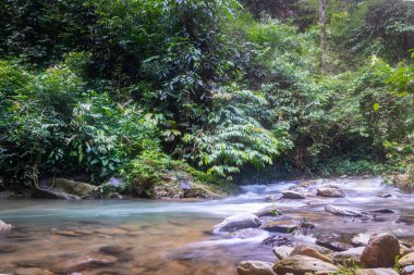 Bukit Lawang ormanında yağmur ormanlarında nehir, Kuzey Sumatra, Endonezya.