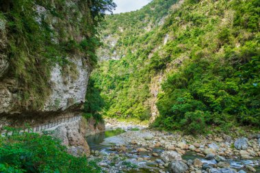 Hualien, Tayvan 'daki Taroko Ulusal Park Kanyonu manzarası. Shakadang yürüyüş yolunun doğa manzarası.