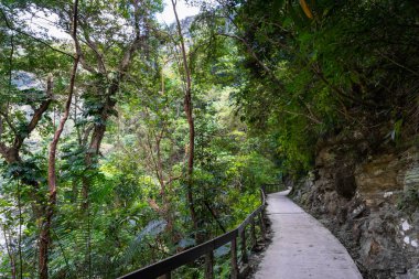 Hualien, Tayvan 'daki Taroko Ulusal Park Kanyonu manzarası. Shakadang yürüyüş yolunun doğa manzarası.