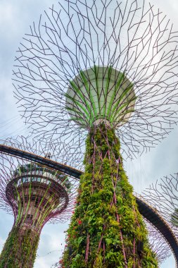 Singapur - Ocak 2019: Marina Bay Sands hotel yakınlarındaki Singapur Supertree Grove ile koy tarafından Gardens 
