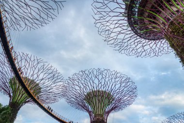 Singapur - Ocak 2019: Marina Bay Sands hotel yakınlarındaki Singapur Supertree Grove ile koy tarafından Gardens 