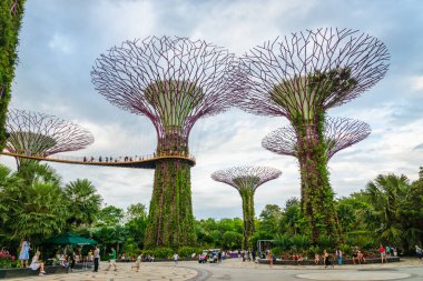 Singapur - Ocak 2019: Marina Bay Sands hotel yakınlarındaki Singapur Supertree Grove ile koy tarafından Gardens 