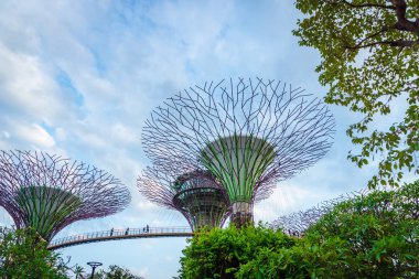 Singapur - Ocak 2019: Marina Bay Sands hotel yakınlarındaki Singapur Supertree Grove ile koy tarafından Gardens 