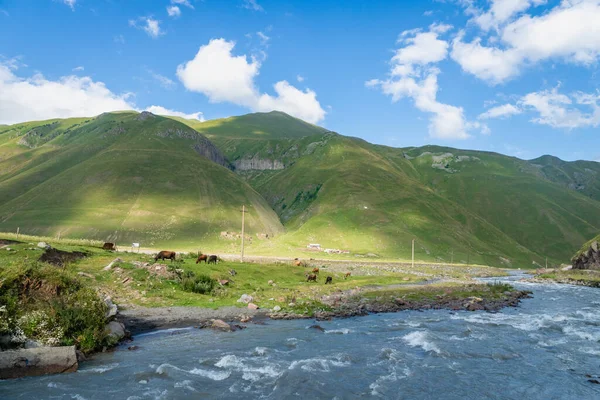 Berg Natur Landskap Truso Valley Och Gorge Vandring Vandringsled Kazbegi — Stockfoto