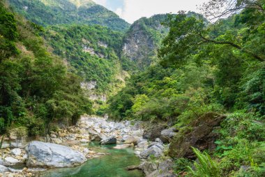 Hualien, Tayvan 'daki Taroko Ulusal Park Kanyonu manzarası. Shakadang yürüyüş yolunun doğa manzarası.