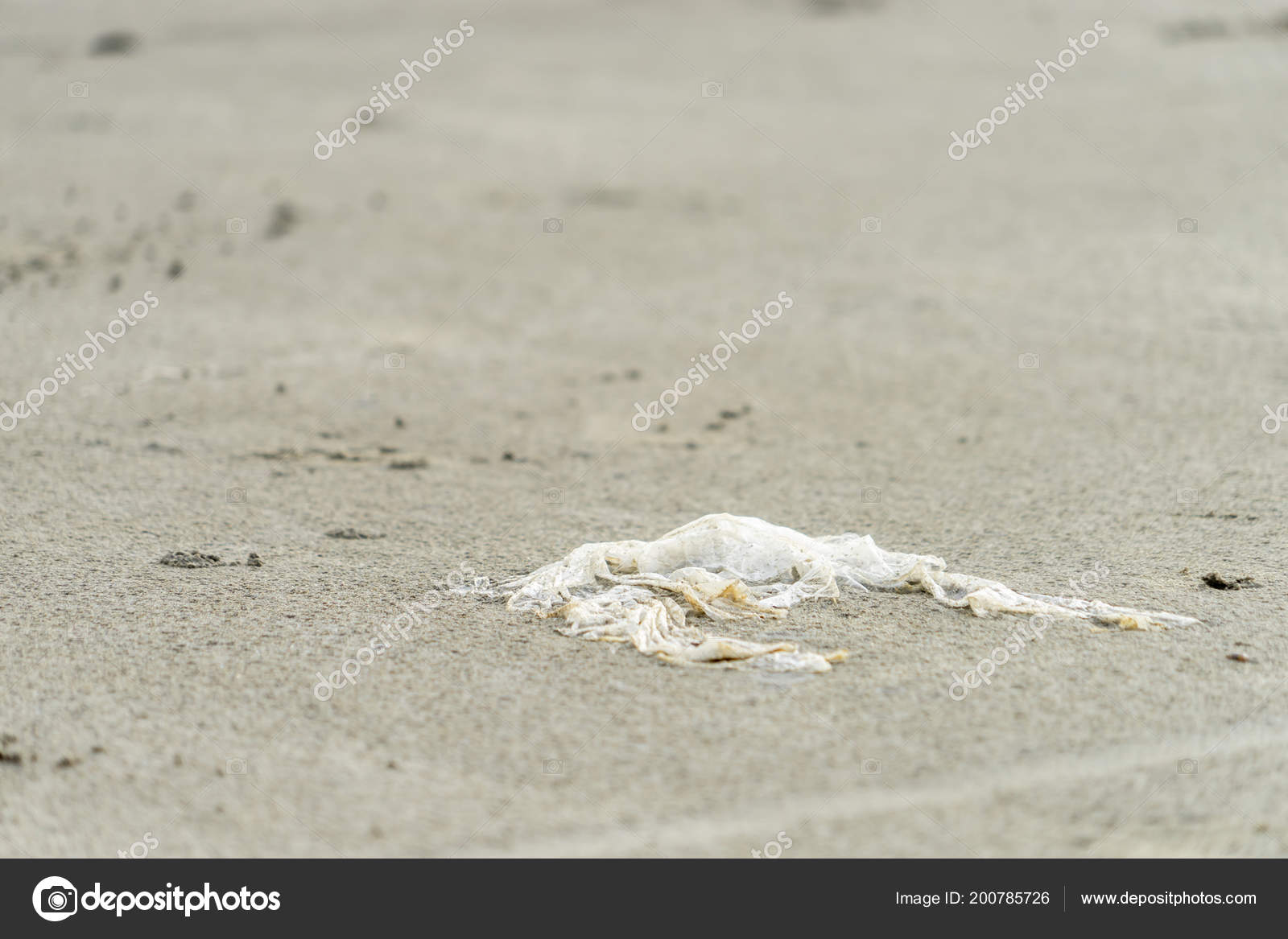 plastic bag beach