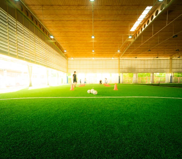 white Line of an indoor football soccer training field