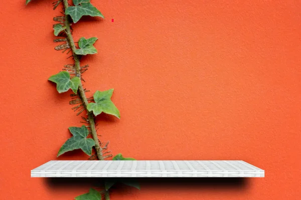 Lege Witte Plank Oranje Tuin Wand Voor Product Display — Stockfoto