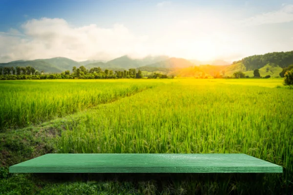 Grön tom hyllräknare med gårdens Paddy Nature bakgrund — Stockfoto