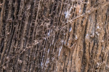 Doku arka planı için Turuncu Red Rock katman yüzeyi