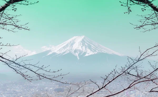 Mountain Fuji w zimie otoczony przez suche drzewo upadku w kolorze Teal — Zdjęcie stockowe