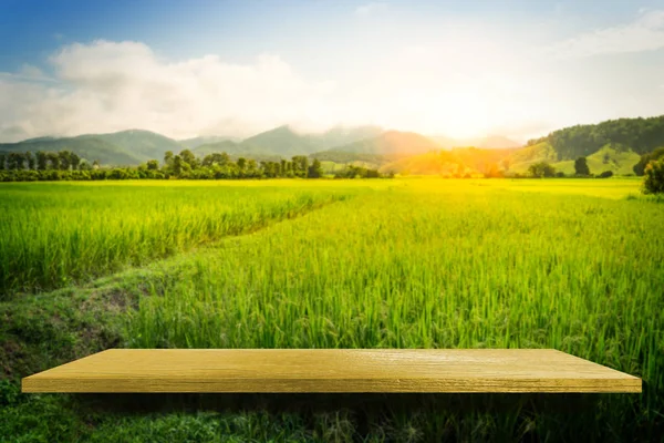 Gul trä på Paddy Farm Nature Background produkt display sh — Stockfoto