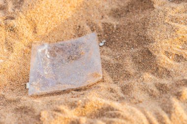 Sahilde plastik torba ve kirlilik çöpleri