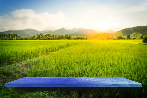 Töm blå hylla på Paddy Farm bakgrund för produktvisning — Stockfoto