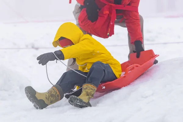Father is helping her daughter to ride the snow sled — Stock Photo, Image