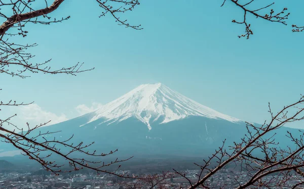 Montagna Fuji in inverno incorniciato da albero secco caduta in colore blu — Foto Stock