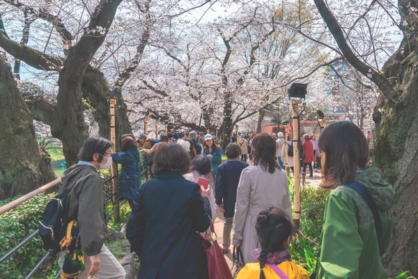 Turistler Chidorigafuchi güzel Cherry Blossom görüntüleme 