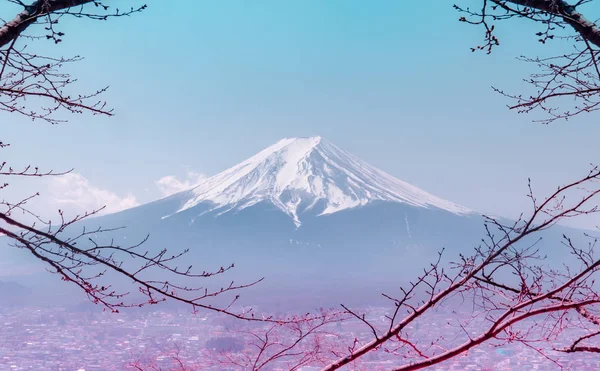 Гора Фудзи зимой обрамлена сухим осенним деревом в голубой и розовый цвет — стоковое фото
