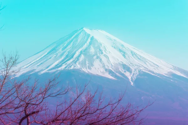 Berg-Fuji im Winter umrahmt von trockenem Herbstbaum in blauer Farbe — Stockfoto
