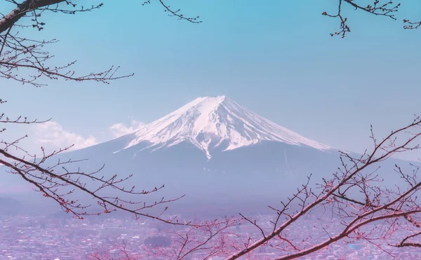 Berg-Fuji im Winter umrahmt von trockenem Herbstbaum in blauer Farbe — Stockfoto