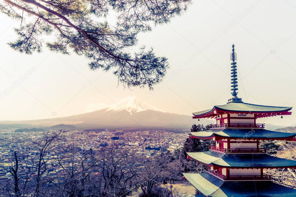 Chureito Pagoda shrine tree with Fuji mount in Background