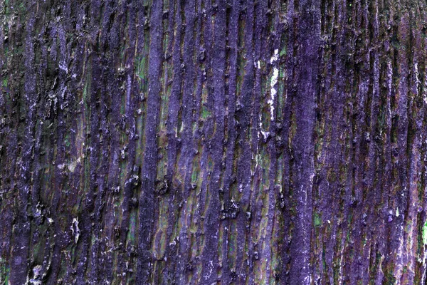 Фиолетовый камень деревянная кора для текстуры и фона — стоковое фото