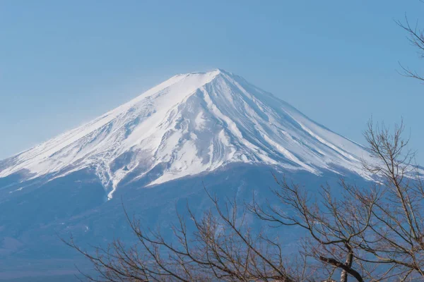 Berg-Fuji im Winter umrahmt von trockenem Herbstbaum in blauer Farbe — Stockfoto